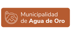 Logo 13